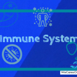 The Immune System of A Human Body