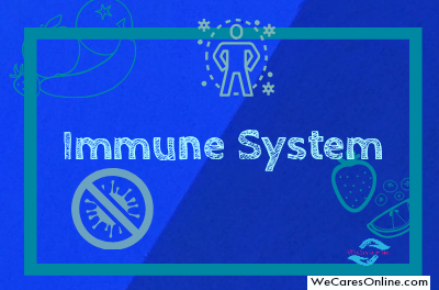 The Immune System of A Human Body