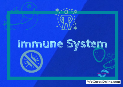 The Immune System of A Human Body